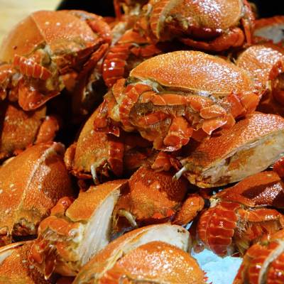 CRABS
